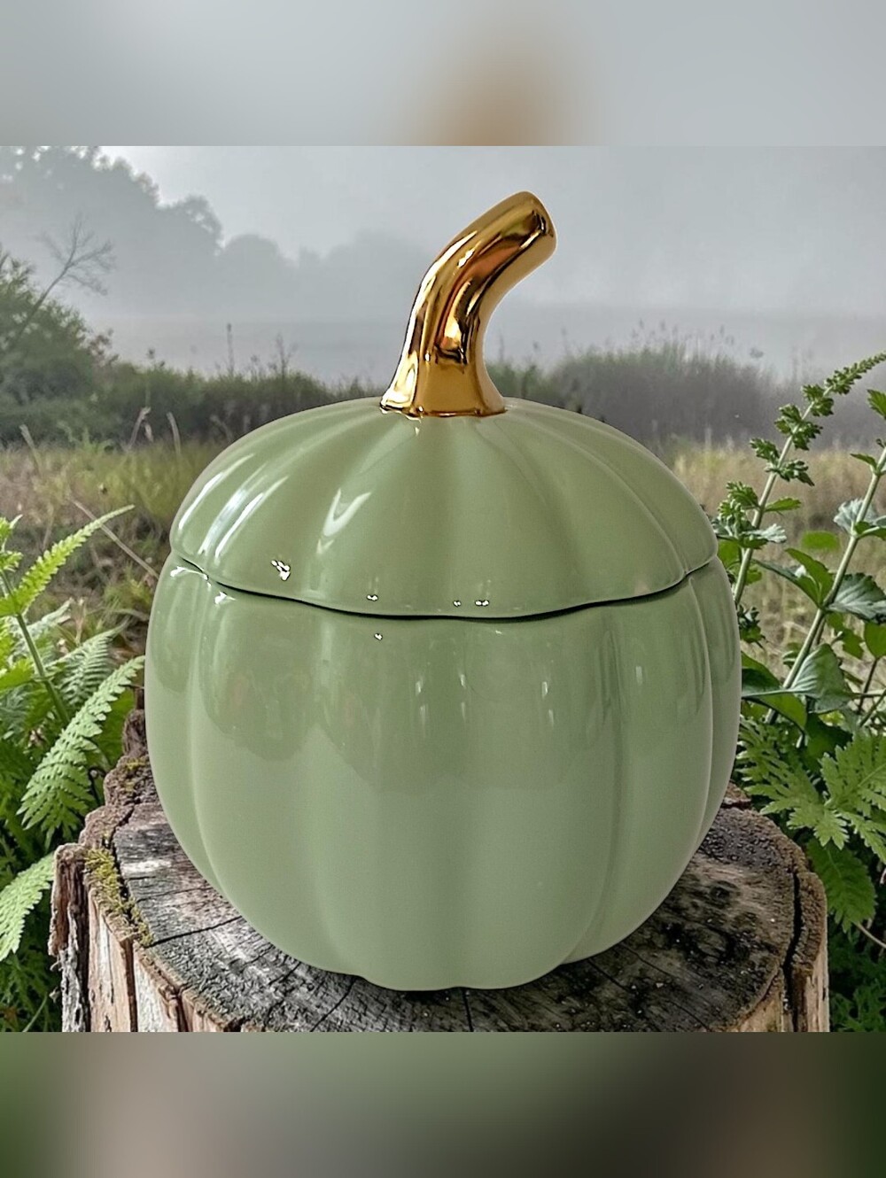 Martha Stewart Pumpkin Canister Sage Green Gold Ceramic Fall Harvest Candy Dish - Picture 14 of 16